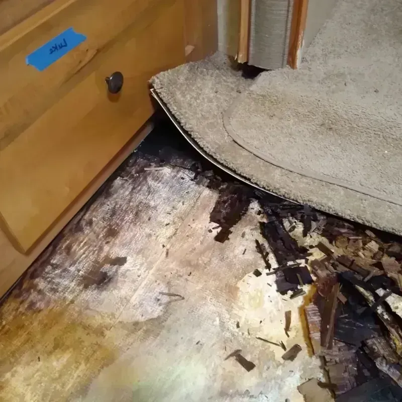 Wood Floor Water Damage in Park Hills, MO